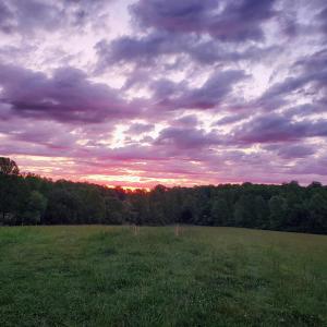Photo #8 of 11697 SPOTSWOOD TRL, STANARDSVILLE, VA 70.0 acres