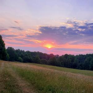 Photo #34 of 11697 SPOTSWOOD TRL, STANARDSVILLE, VA 70.0 acres