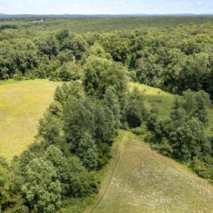 Photo #18 of 11697 SPOTSWOOD TRL, STANARDSVILLE, VA 70.0 acres