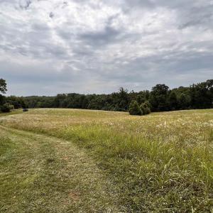 Photo #44 of 11697 SPOTSWOOD TRL, STANARDSVILLE, VA 70.0 acres