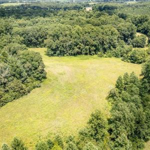 Photo #19 of 11697 SPOTSWOOD TRL, STANARDSVILLE, VA 70.0 acres