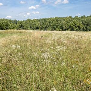 Photo #30 of 11697 SPOTSWOOD TRL, STANARDSVILLE, VA 70.0 acres