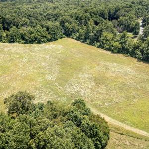 Photo #11 of 11697 SPOTSWOOD TRL, STANARDSVILLE, VA 70.0 acres