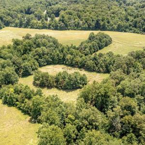 Photo #12 of 11697 SPOTSWOOD TRL, STANARDSVILLE, VA 70.0 acres