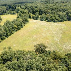Photo #10 of 11697 SPOTSWOOD TRL, STANARDSVILLE, VA 70.0 acres