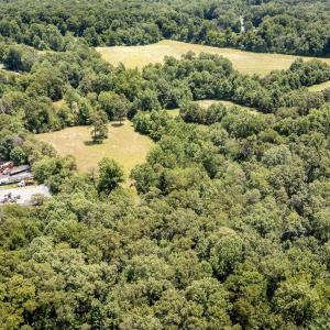 Photo #13 of 11697 SPOTSWOOD TRL, STANARDSVILLE, VA 70.0 acres