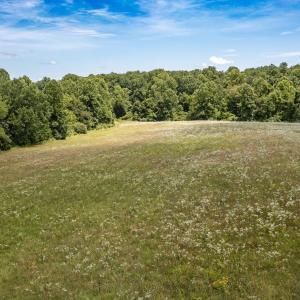 Photo #17 of 11697 SPOTSWOOD TRL, STANARDSVILLE, VA 70.0 acres