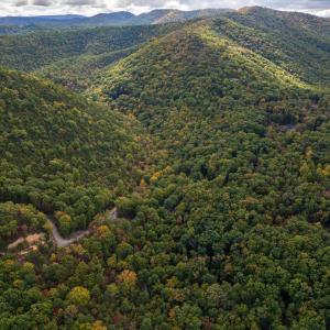 Photo #15 of Lot 14 WILDWOOD LN, SHENANDOAH, VA 3.9 acres