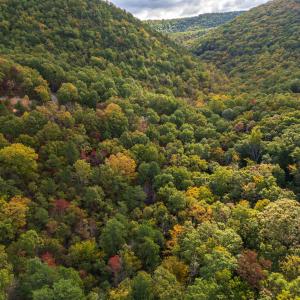 Photo #17 of Lot 14 WILDWOOD LN, SHENANDOAH, VA 3.9 acres