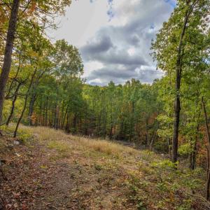 Photo #10 of Lot 14 WILDWOOD LN, SHENANDOAH, VA 3.9 acres