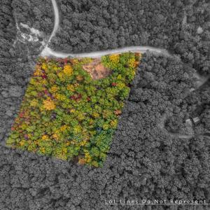 Photo #1 of Lot 14 WILDWOOD LN, SHENANDOAH, VA 3.9 acres