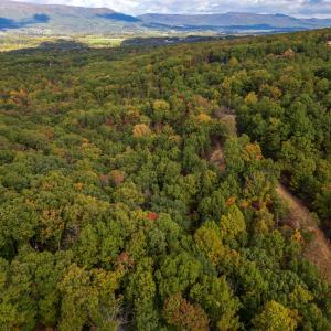 Photo #16 of Lot 14 WILDWOOD LN, SHENANDOAH, VA 3.9 acres