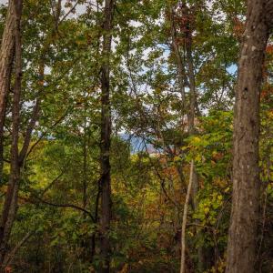Photo #11 of Lot 14 WILDWOOD LN, SHENANDOAH, VA 3.9 acres