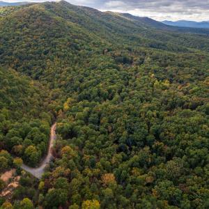 Photo #6 of Lot 14 WILDWOOD LN, SHENANDOAH, VA 3.9 acres