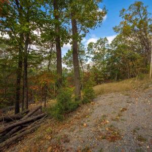Photo #8 of Lot 14 WILDWOOD LN, SHENANDOAH, VA 3.9 acres