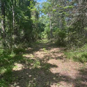 Photo #1 of 90 WOODLEE RD, STAUNTON, VA 2.8 acres