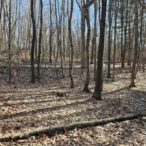 Photo #3 of Lot 1 Revised BERRY FARM RD, STAUNTON, VA 2.0 acres