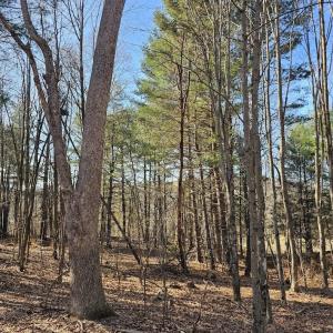Photo #14 of Lot 1 Revised BERRY FARM RD, STAUNTON, VA 2.0 acres