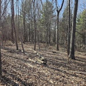 Photo #12 of Lot 1 Revised BERRY FARM RD, STAUNTON, VA 2.0 acres