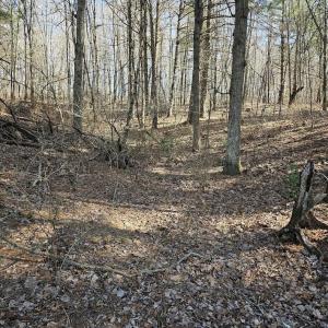 Photo #13 of Lot 1 Revised BERRY FARM RD, STAUNTON, VA 2.0 acres