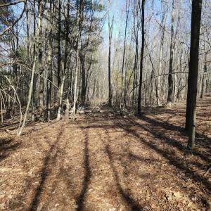 Photo #10 of Lot 1 Revised BERRY FARM RD, STAUNTON, VA 2.0 acres
