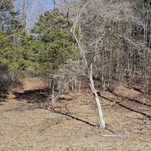 Photo #9 of Lot 1 Revised BERRY FARM RD, STAUNTON, VA 2.0 acres