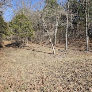 Photo #4 of Lot 1 Revised BERRY FARM RD, STAUNTON, VA 2.0 acres