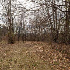 Photo #35 of SHEN LAKE RD, ROCKINGHAM, VA 2.2 acres