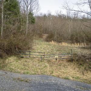 Photo #24 of ROCKY RIDGE LN, FULKS RUN, VA 6.3 acres