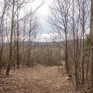 Photo #36 of ROCKY RIDGE LN, FULKS RUN, VA 6.3 acres