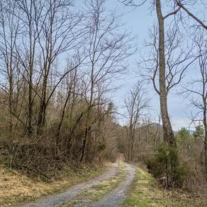 Photo #25 of ROCKY RIDGE LN, FULKS RUN, VA 6.3 acres