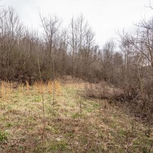 Photo #32 of ROCKY RIDGE LN, FULKS RUN, VA 6.3 acres