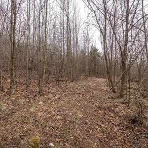 Photo #37 of ROCKY RIDGE LN, FULKS RUN, VA 6.3 acres