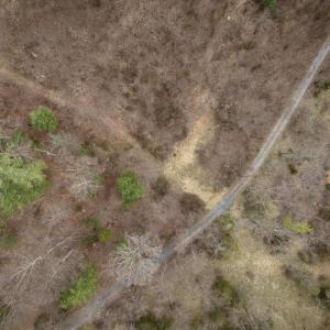 Photo #27 of ROCKY RIDGE LN, FULKS RUN, VA 6.3 acres