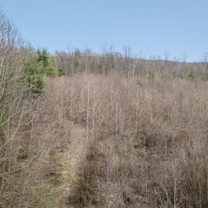 Photo #28 of ROCKY RIDGE LN, FULKS RUN, VA 6.3 acres
