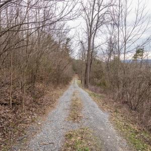 Photo #40 of ROCKY RIDGE LN, FULKS RUN, VA 6.3 acres