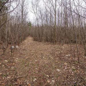 Photo #34 of ROCKY RIDGE LN, FULKS RUN, VA 6.3 acres