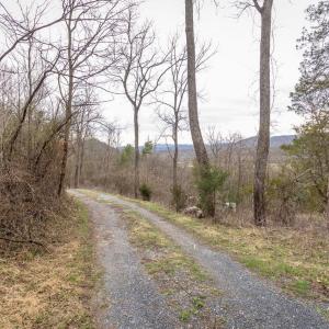 Photo #38 of ROCKY RIDGE LN, FULKS RUN, VA 6.3 acres