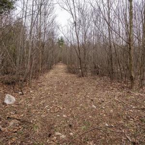 Photo #35 of ROCKY RIDGE LN, FULKS RUN, VA 6.3 acres