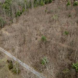 Photo #18 of ROCKY RIDGE LN, FULKS RUN, VA 6.3 acres