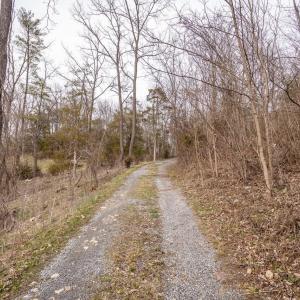 Photo #29 of ROCKY RIDGE LN, FULKS RUN, VA 6.3 acres