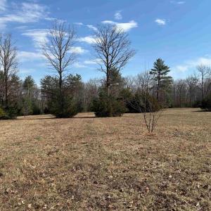 Photo #1 of 2065 LINDSAY RD, KESWICK, VA 61.9 acres