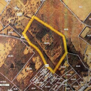 Photo #5 of 2065 LINDSAY RD, KESWICK, VA 61.9 acres