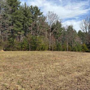Photo #3 of 2065 LINDSAY RD, KESWICK, VA 61.9 acres