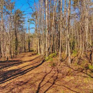 Photo #6 of PINHOOK RD, ROCKVILLE, VA 2.1 acres
