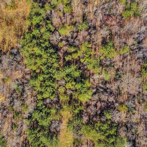 Photo #2 of PINHOOK RD, ROCKVILLE, VA 2.1 acres