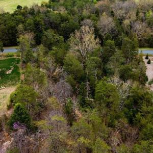 Photo #25 of 717 CEDAR MEADOW DR, NELLYSFORD, VA 0.9 acres