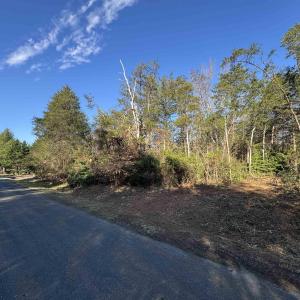 Photo #3 of 717 CEDAR MEADOW DR, NELLYSFORD, VA 0.9 acres