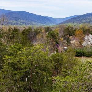 Photo #11 of 717 CEDAR MEADOW DR, NELLYSFORD, VA 0.9 acres