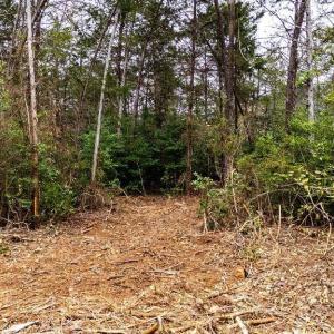 Photo #9 of 717 CEDAR MEADOW DR, NELLYSFORD, VA 0.9 acres